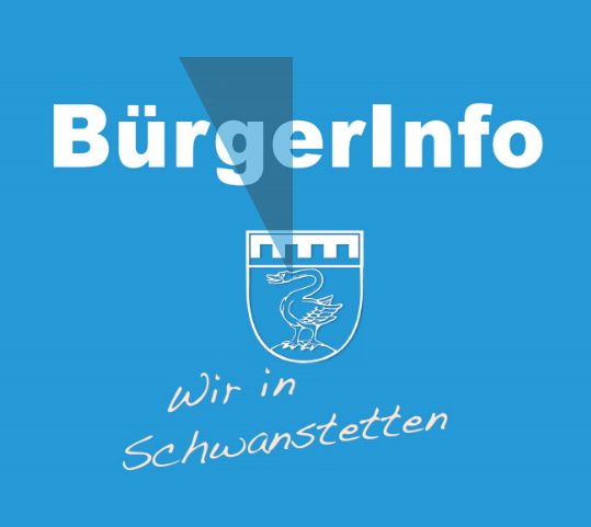  Logo BürgerInfo 