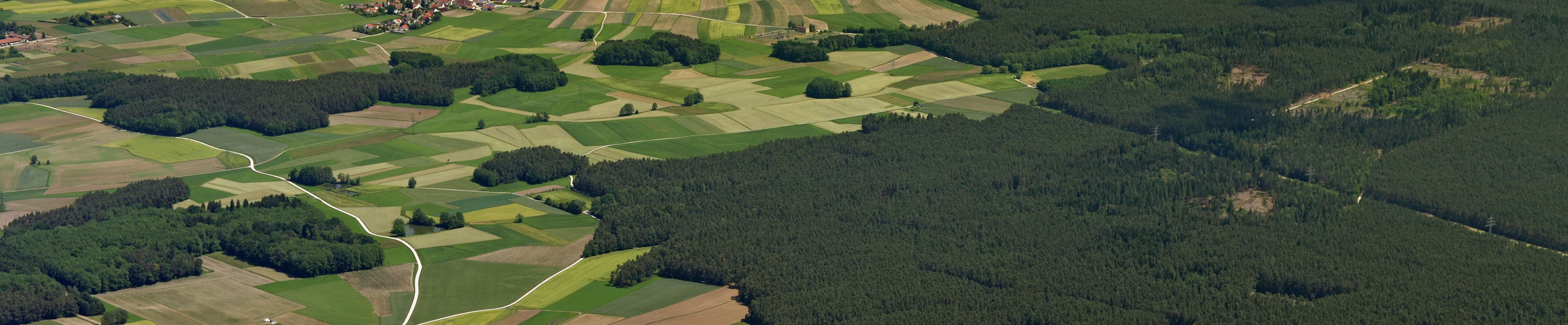  Luftbild von einem großen Waldstück. 
